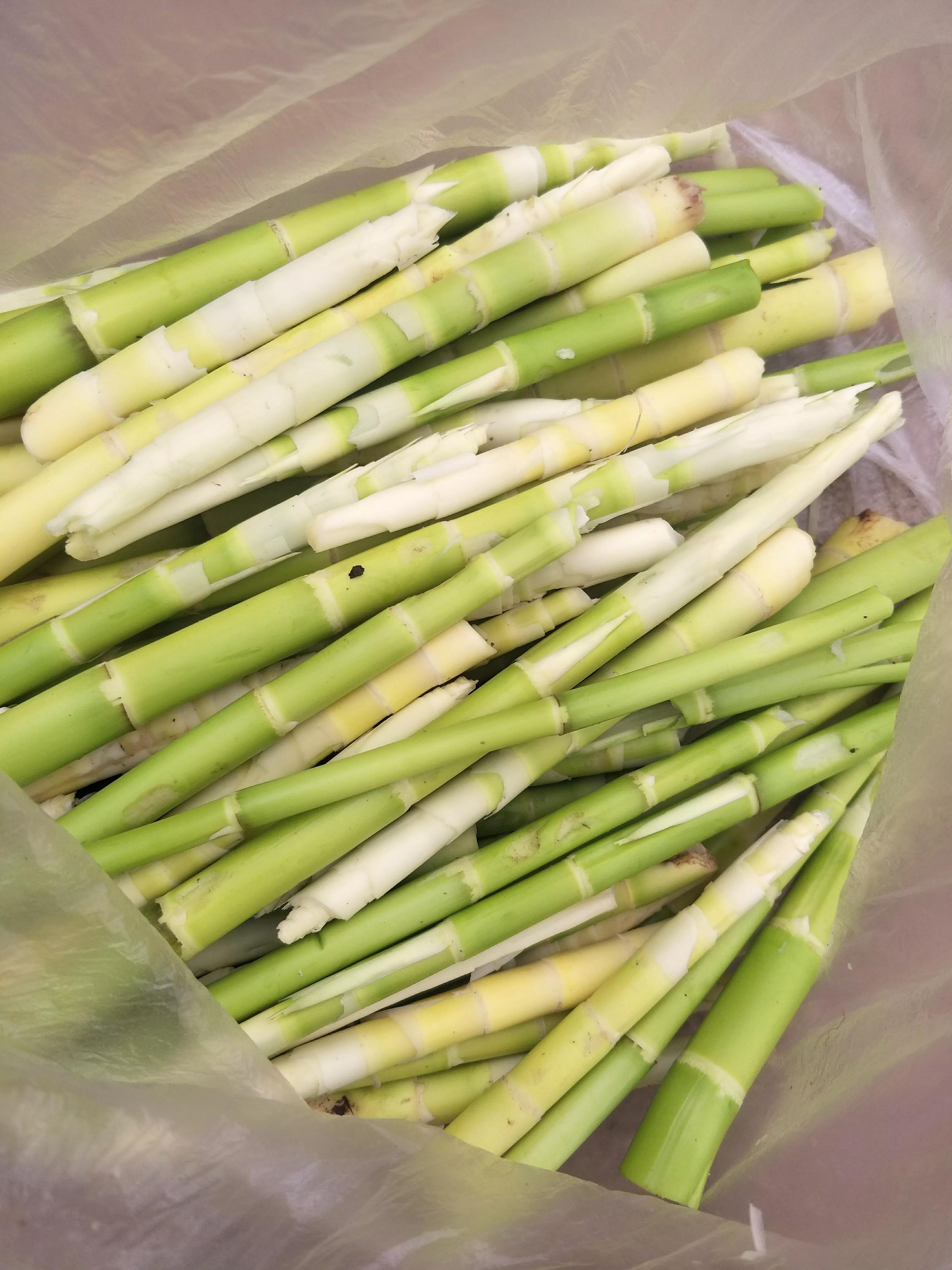 初夏,遇见我喜欢的斑竹笋