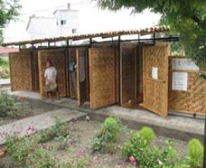 怎么治瘟疫,如何控制上厕所