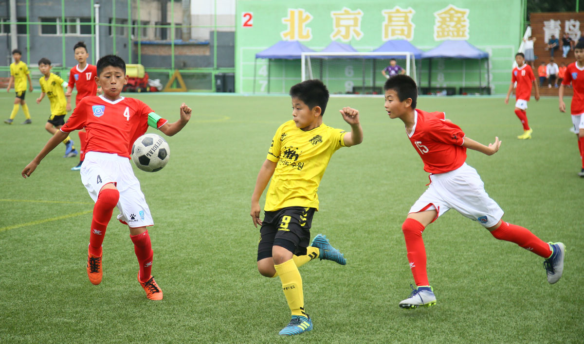 中韩国际青少年足球交流训练营,中韩足球青训比赛
