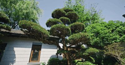 中式风格千万豪宅,1.58亿豪宅