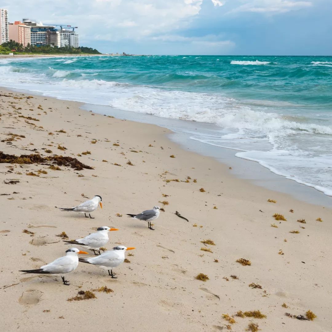 全球最美的海岛你想和谁一起去,带你去看世界最美海岛
