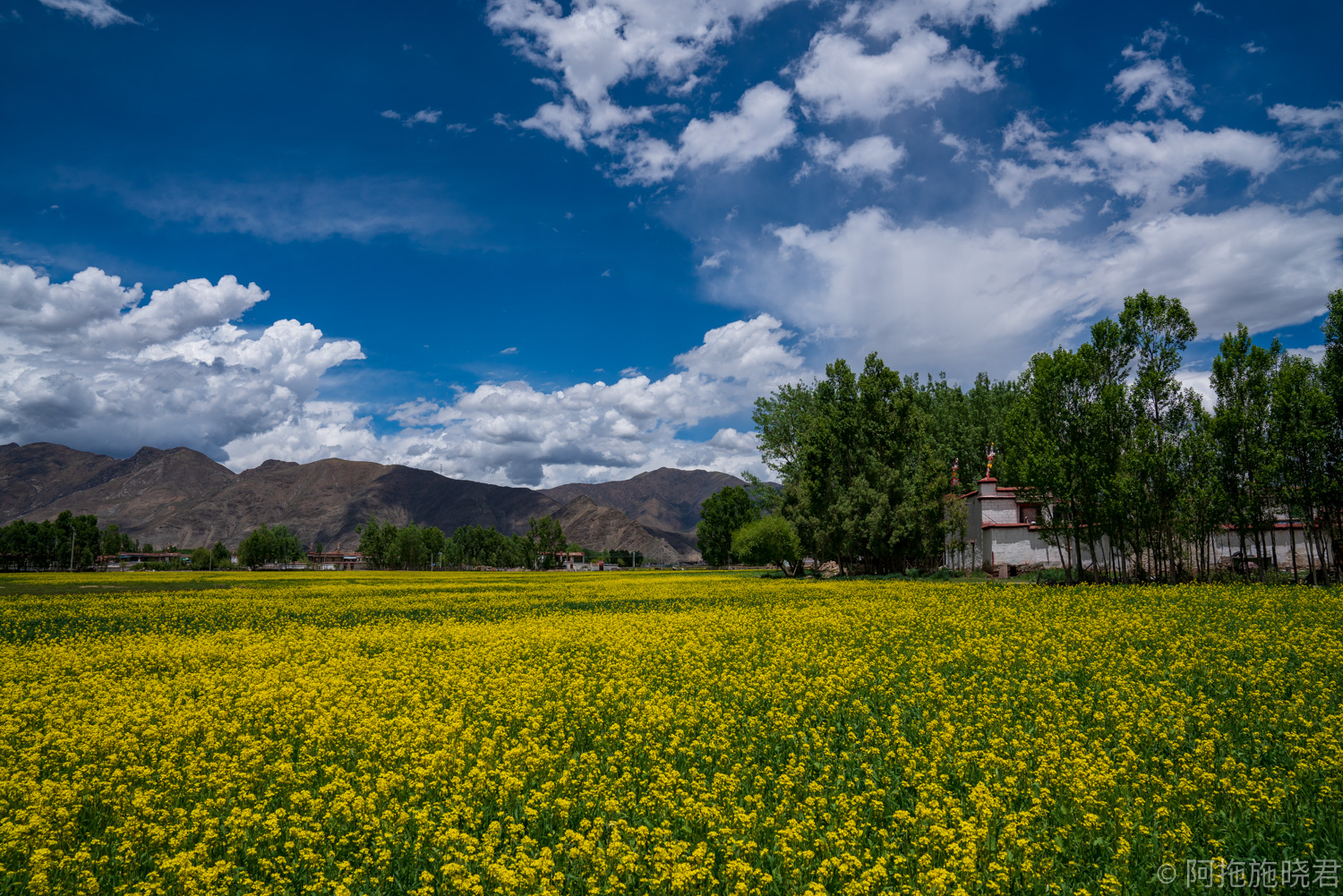 拉萨小众寺庙视频,拉萨最美的寺庙