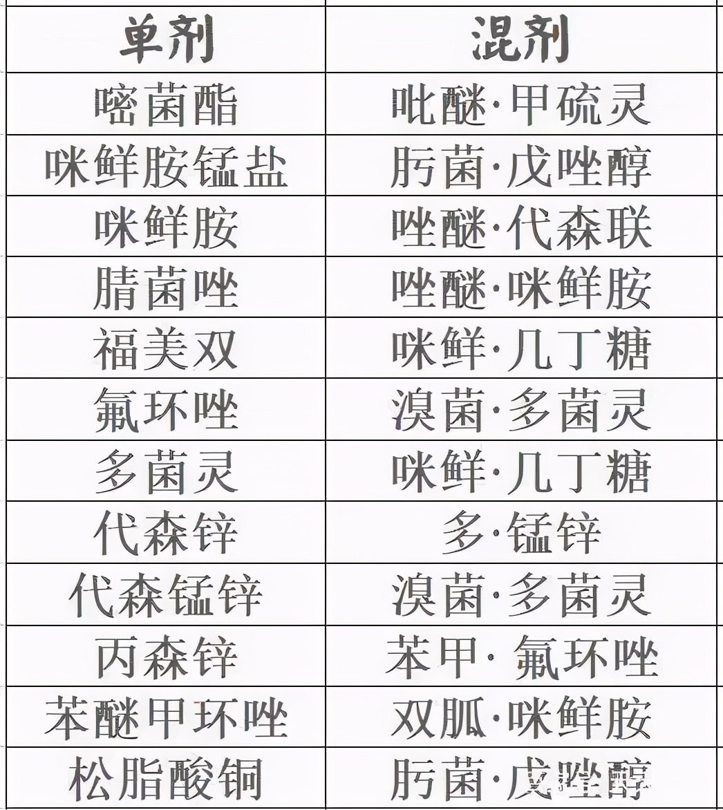 炭疽病十大杀菌剂特效药,炭疽病防治药剂