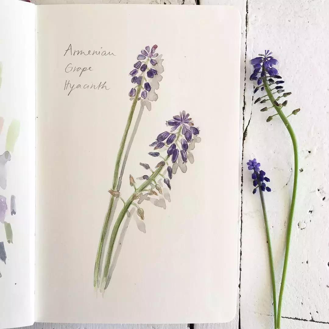 如何用手账本做一篇漂亮的手账,青春专属手帐