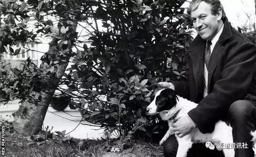 足球狗为什么要和人类亲近,狗狗有多喜欢足球