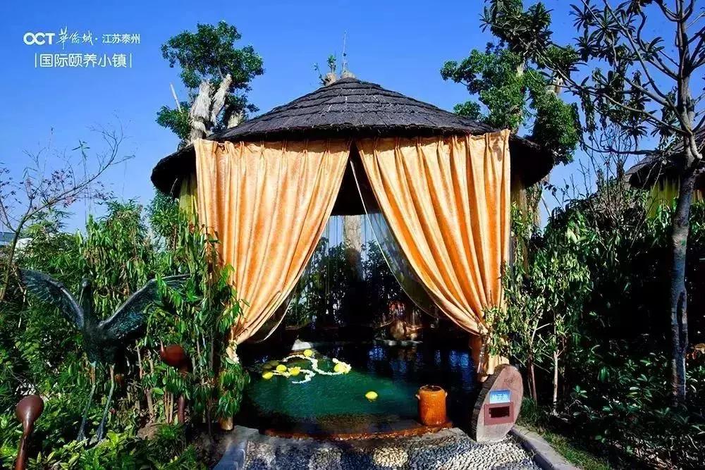 泰州溱湖来自1800米湿地深处云海温泉人文湖景别墅，独享惬意时光