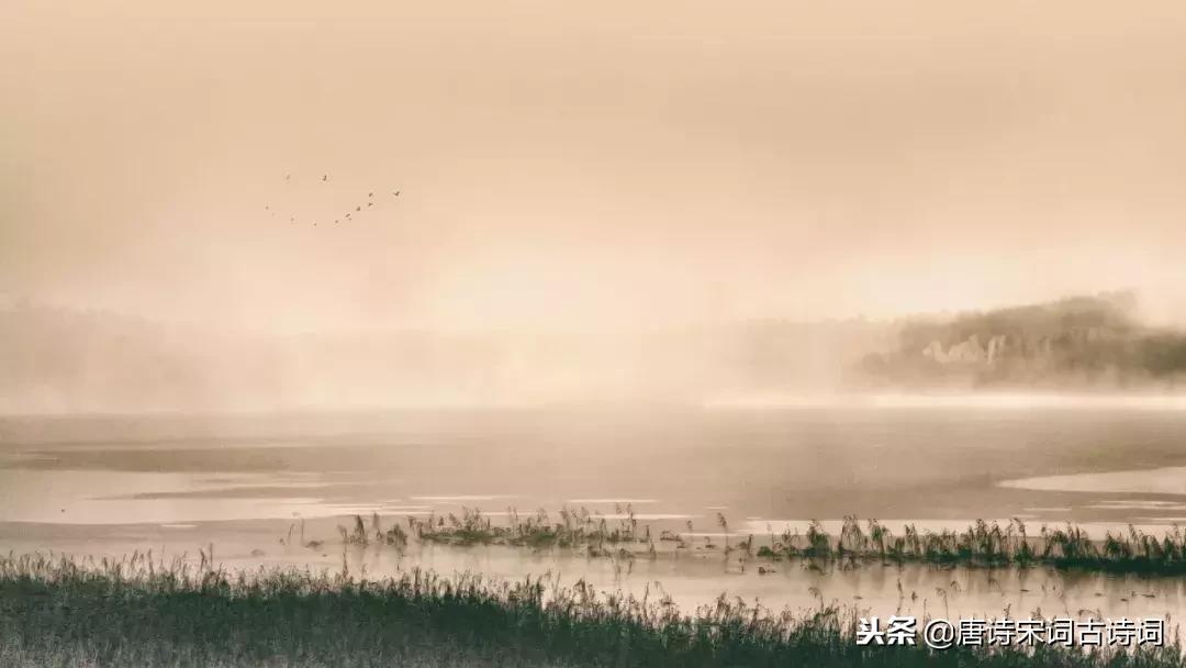 这些经典古诗词一开头就让人惊艳,经典古诗词开场