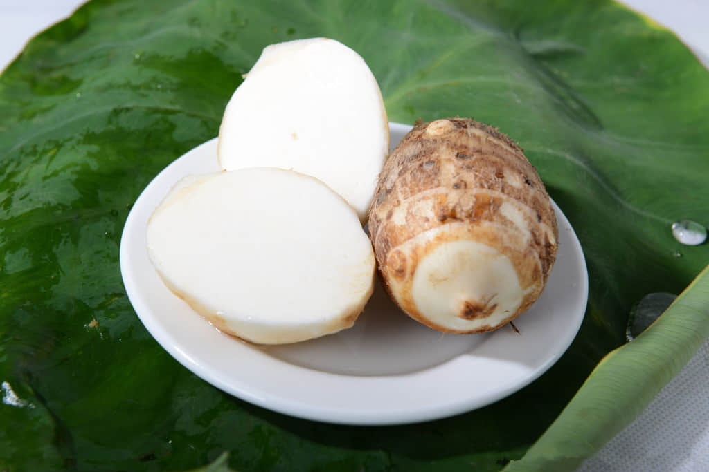 不想吃东西可以吃什么补营养,白癜风主要吃啥菜比较好得快