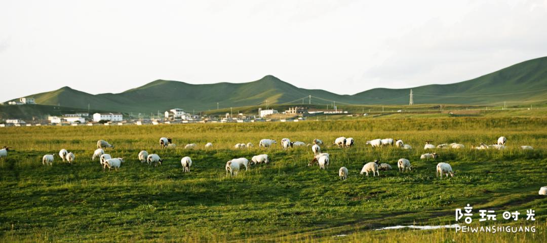 国庆去哪玩人少风景好带孩子,国庆带娃冷门小众人少旅游地点