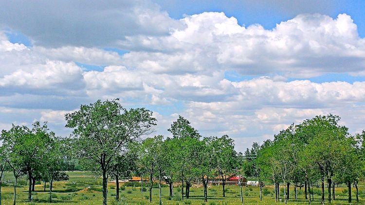 四子王旗——故乡的云，真的好美