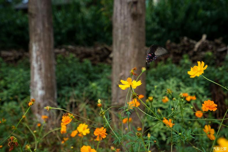 乌村值得去的地方,乌村最好的地方