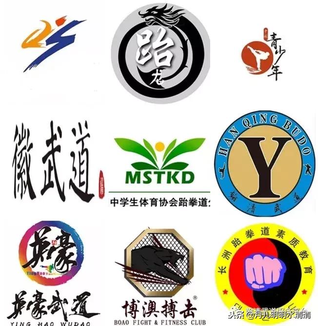 中国跆拳道协会大众教练员,大众跆拳道竞技训练