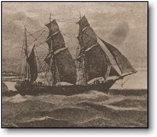 澳洲最好的抗癌药品,澳洲健康饮品真的有用吗