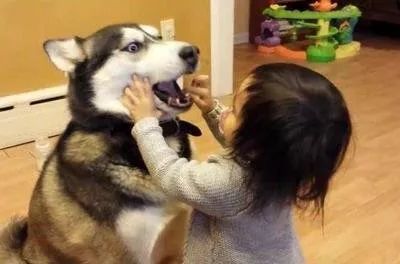 叛逆孩子顶嘴不愿意学习怎么办,倔强叛逆的孩子该怎么管教