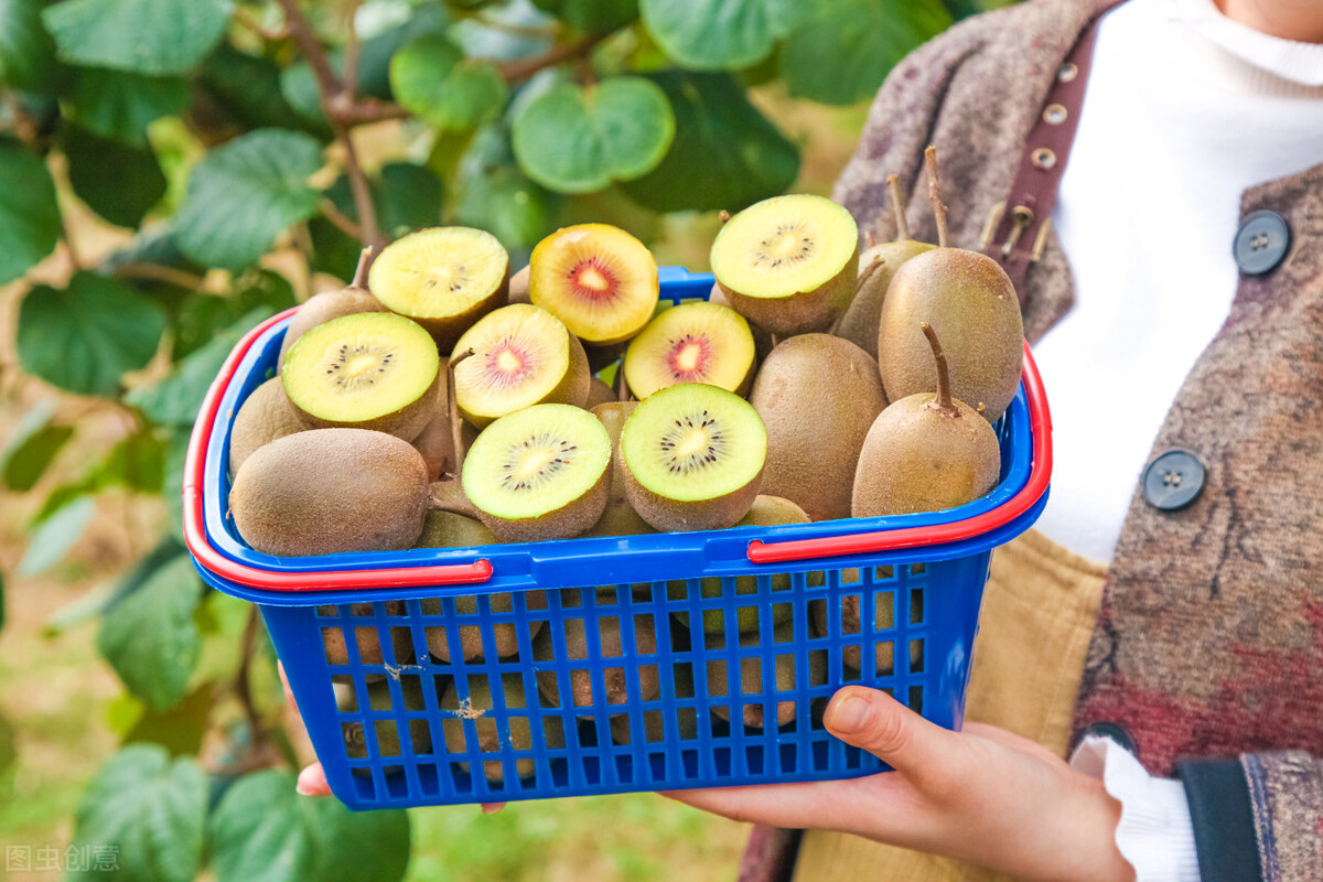 新西兰猕猴桃侵权案，二审宣判中国夫妇赔偿5558万，到底冤不冤？