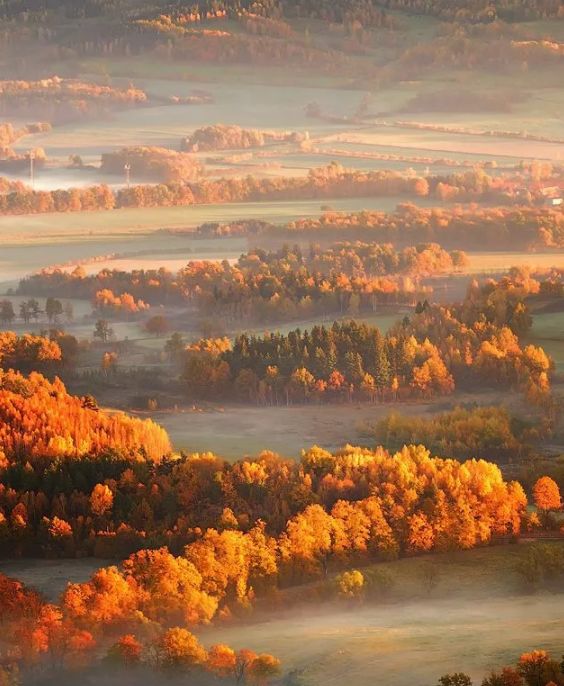 「诗词鉴赏」元曲中的秋天，另一番美丽