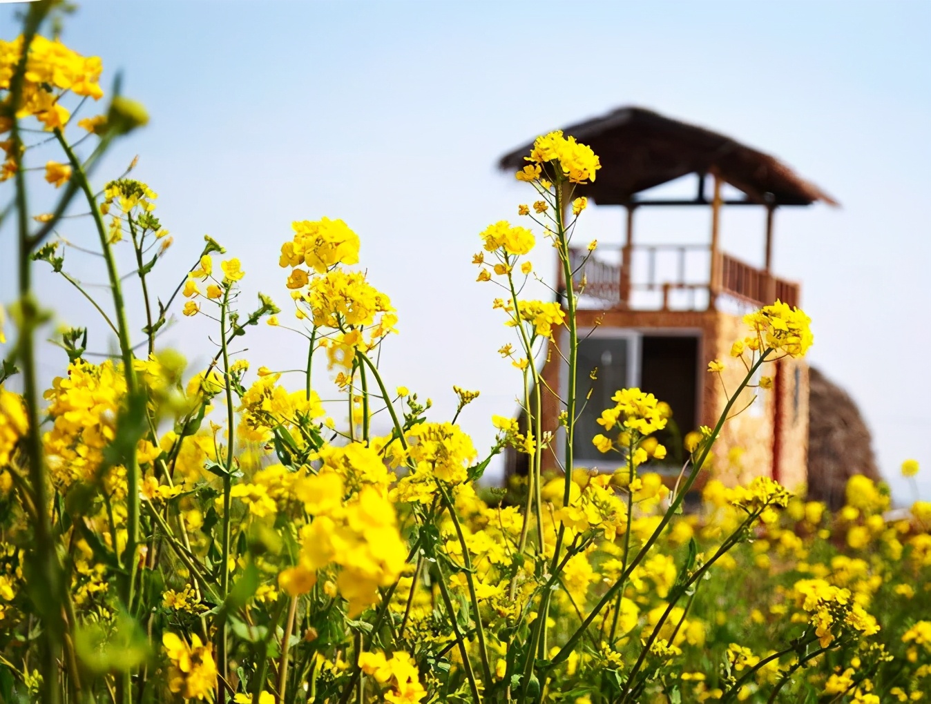 一张旅游卡可游遍20个景点,徐州市民卡旅游一卡通