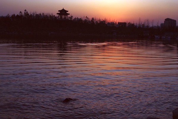 坚强的姥姥知乎,坚强的外婆作文