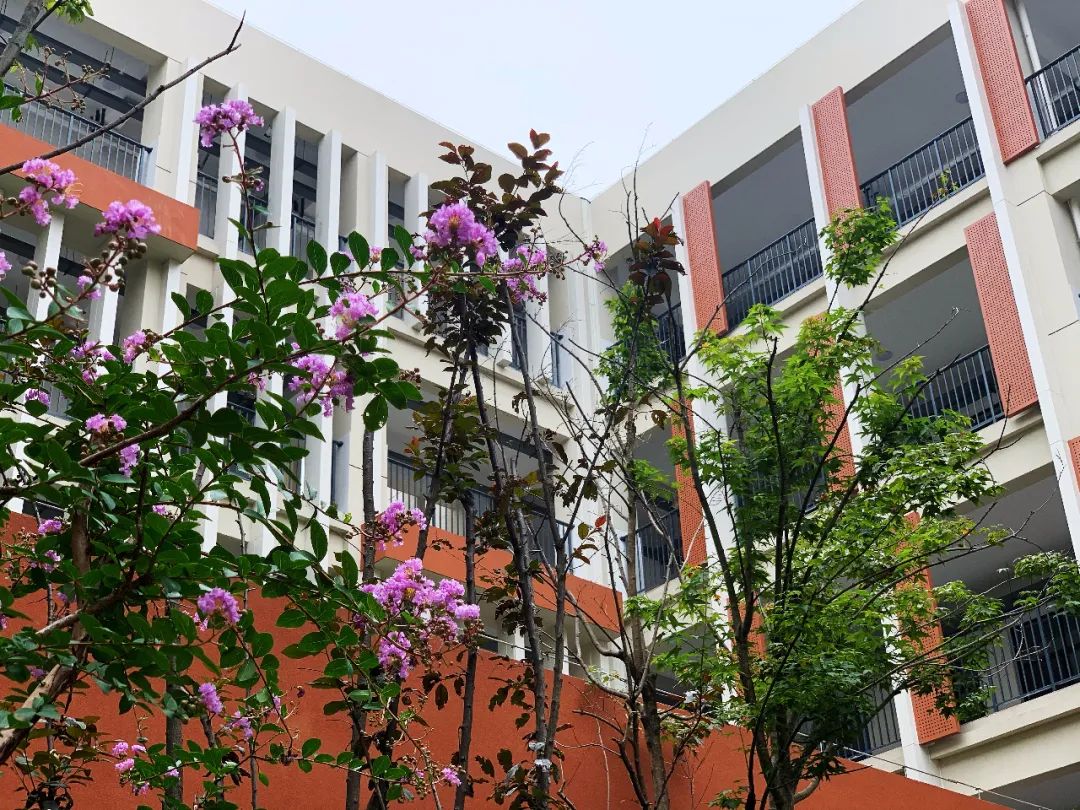 科利华铁北分校从哪年开始招生的,科利华铁北分校很差吗