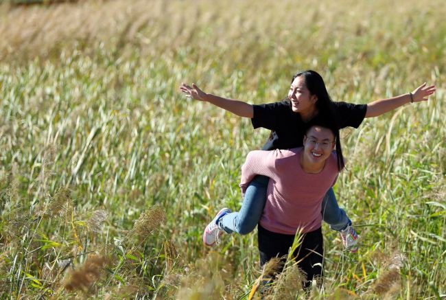 2019合阳县旅游文化,合阳文化旅游视频