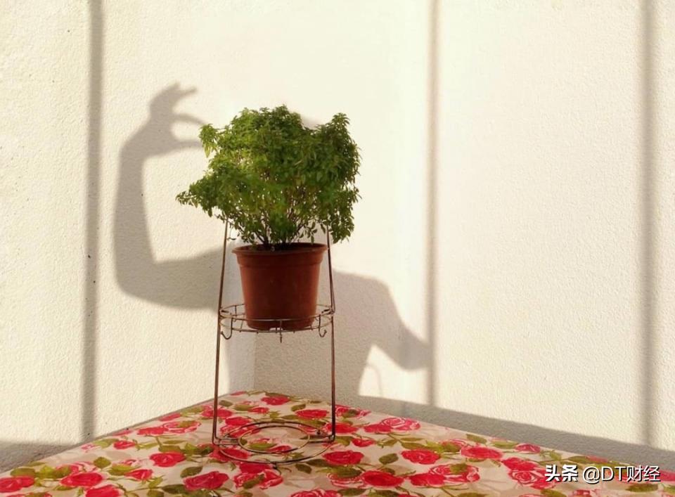 跨性别者的真实故事,跨性别人的真实故事