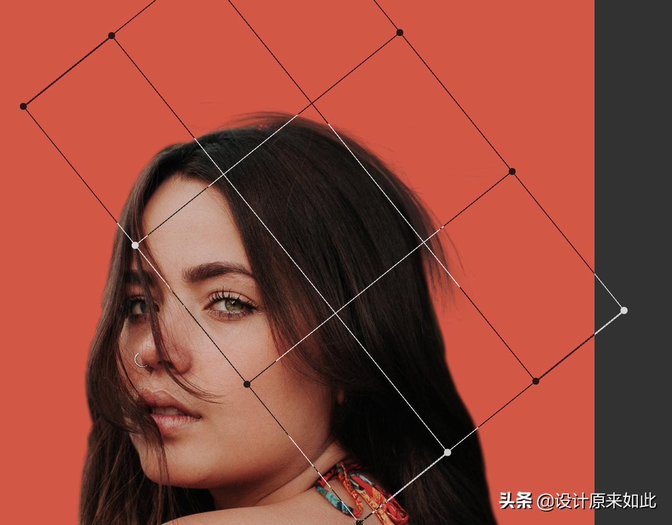 ps画笔毛发,ps初学者详细讲解抠图流程