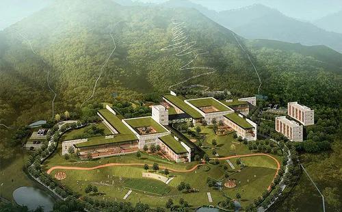 武安市连军强,武安连军强最新视频