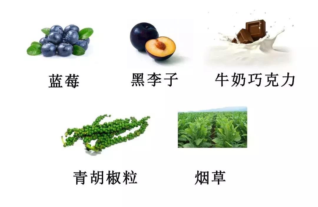 盲品葡萄酒是每种酒都喝过吗,盲品干红葡萄酒