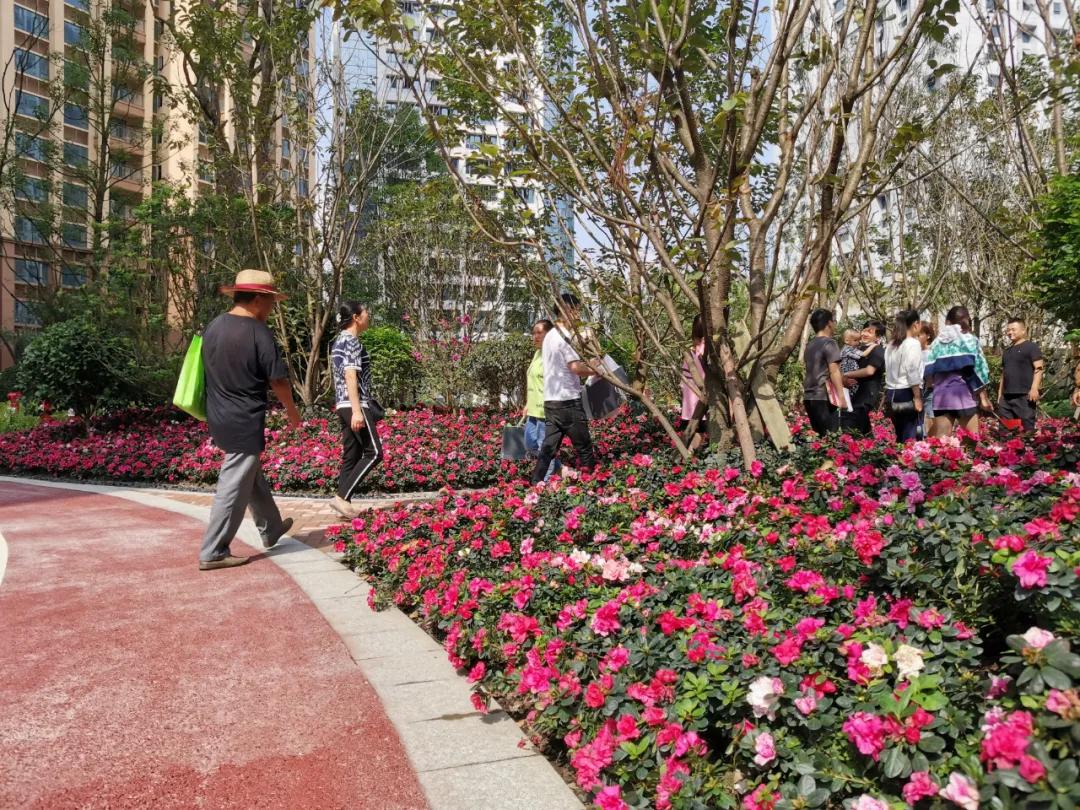 都江堰近10年房价变化,都江堰最大在售带花园的房子