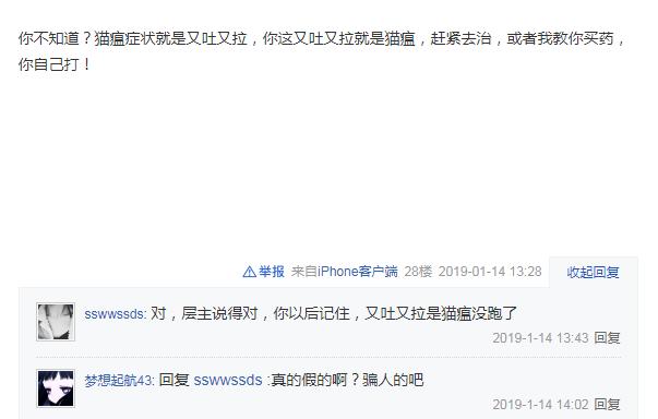 辟谣猫咪并非黑夜都能看得清,辟谣猫咪背锅谣言