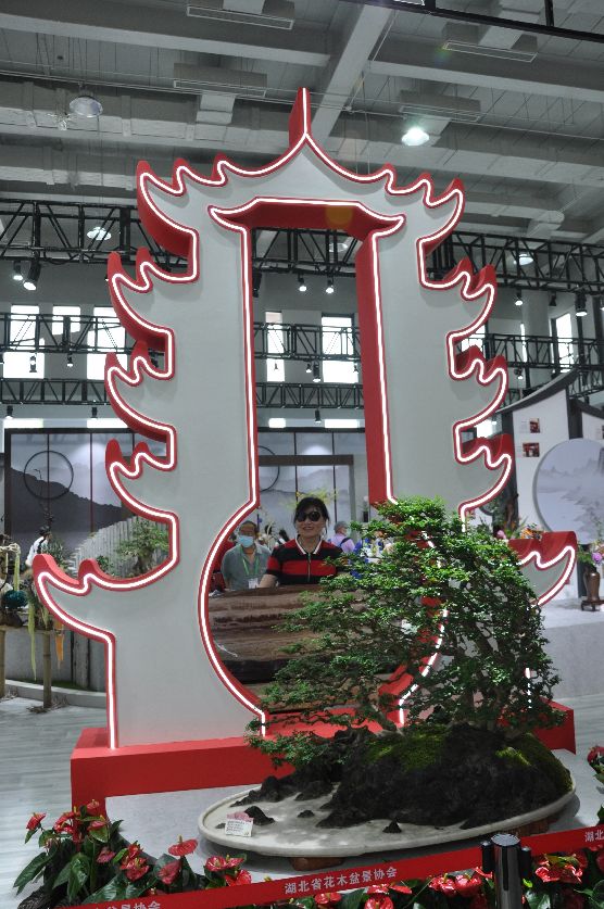 漳州东南花都花博会巡游,花博会花神巡游打卡