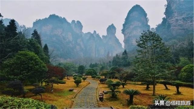 夏季张家界自由行旅游攻略,张家界避暑