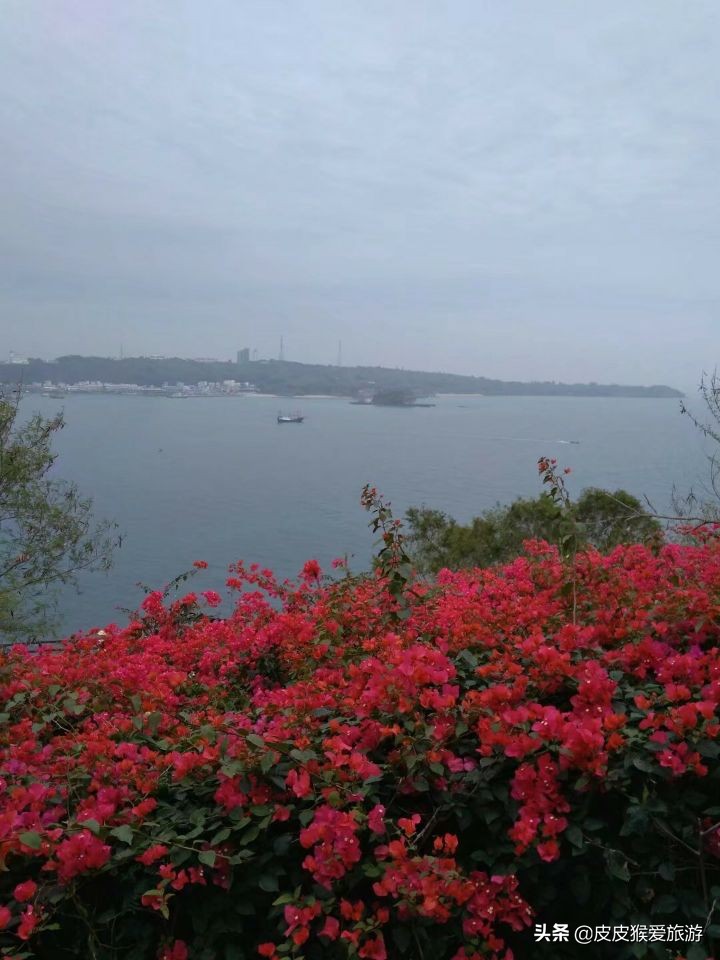 中国最年轻火山岛涠洲岛,中国最年轻的火山岛涠洲岛