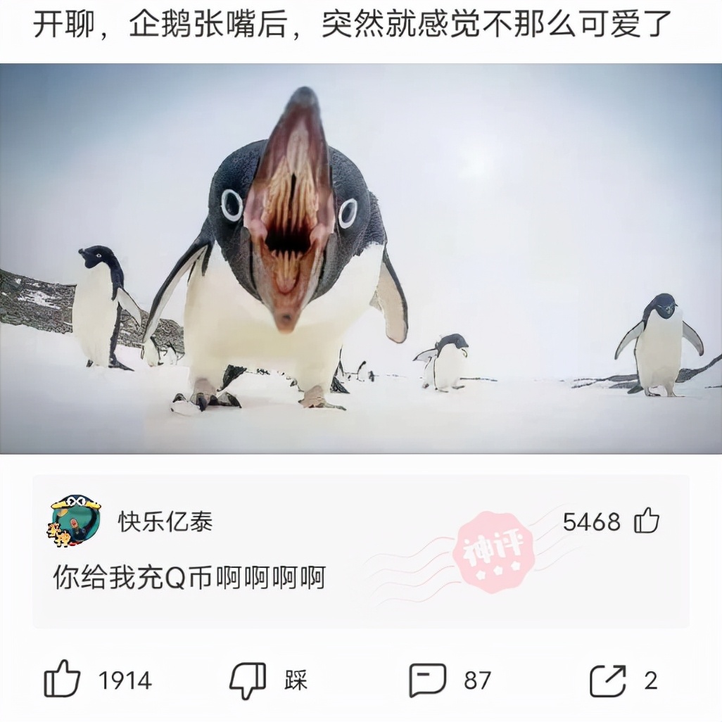 神回复脑洞套路,神回复各种套路