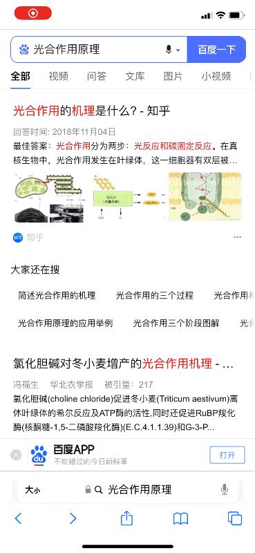 怎么防止浏览器自动跳转app,怎么避免小程序跳转app