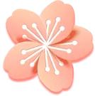 哑奴完整版,娅奴特价款上衣