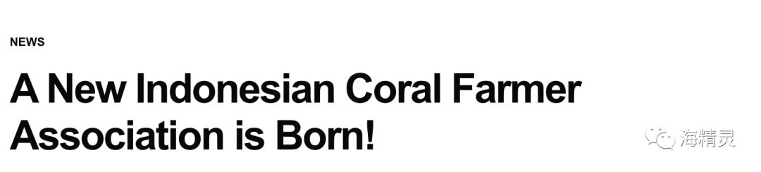 中国海水圈到底存在多少“奸商”？