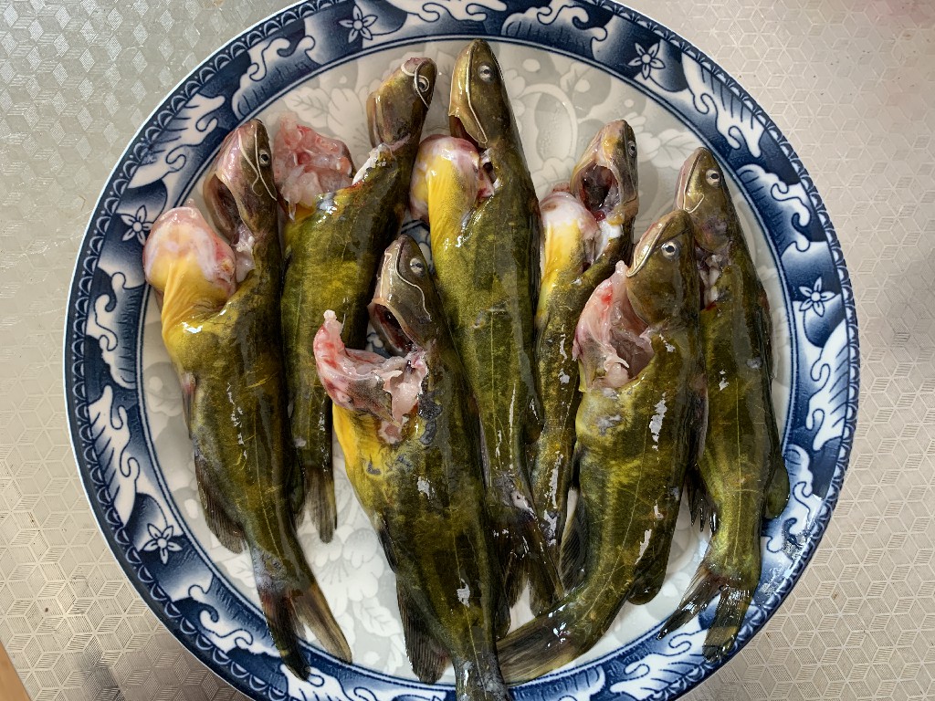 给鱼去腥用料酒行吗,给鱼去腥用什么佐料