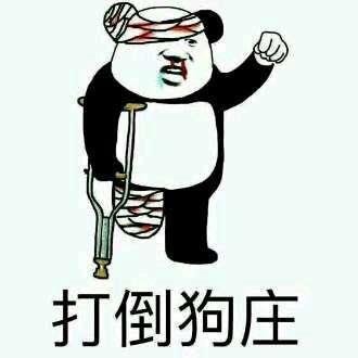 致敬项海王，股生PPT