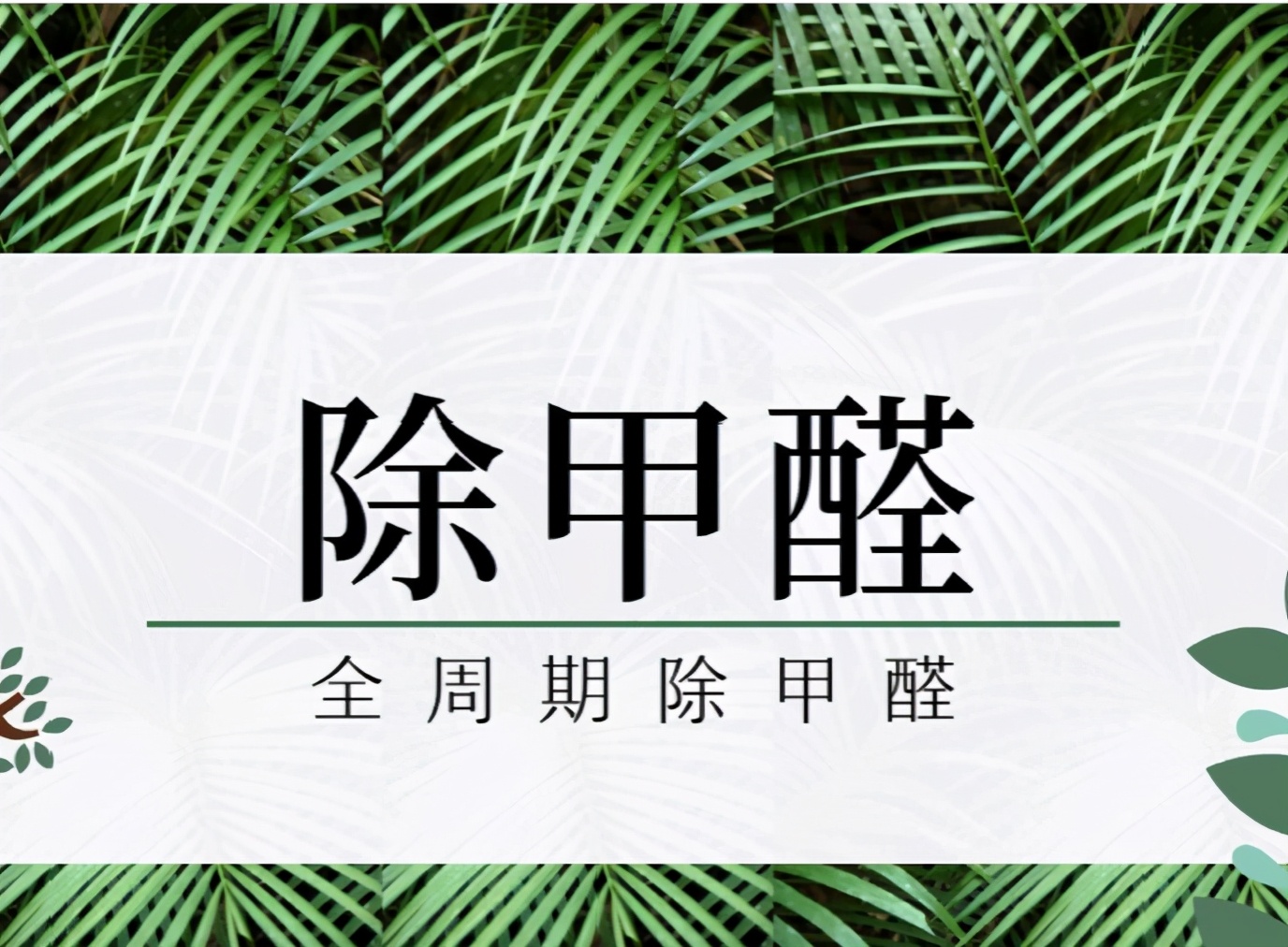 315央视曝光除甲醛骗局,焦点访谈315打假除甲醛