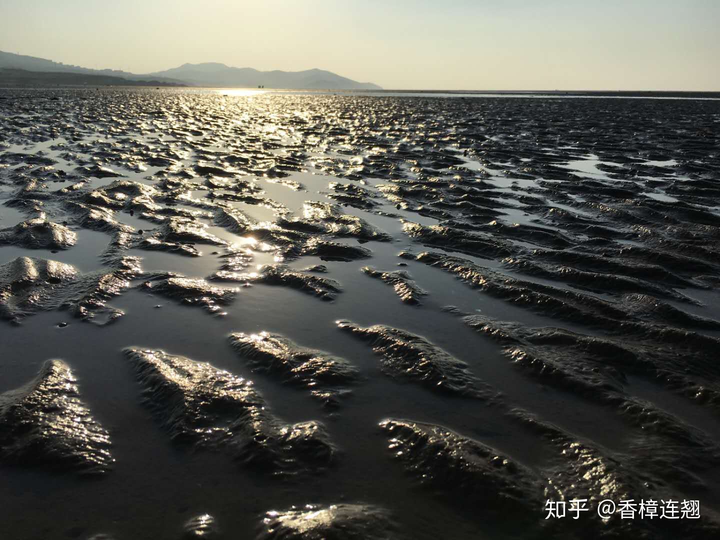 在大连生活怎么样,在大连生活十年是什么体验