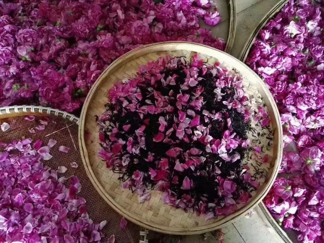 香入人心！这款易武玫瑰红每一道茶汤都是愉悦的感觉！