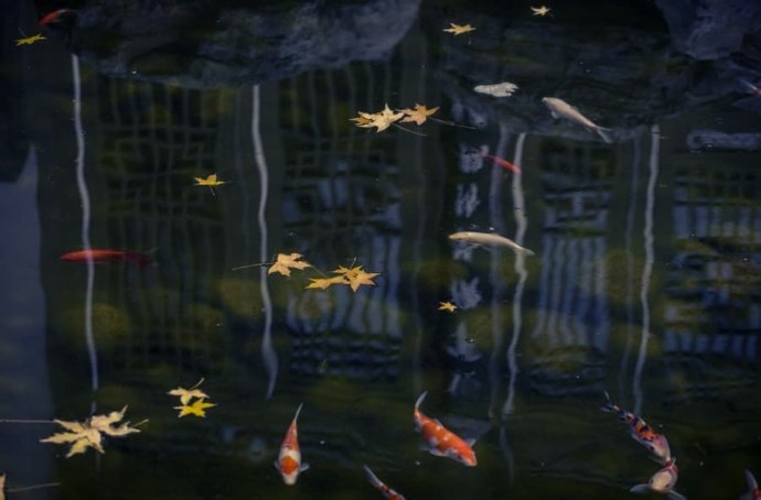 万壑千岩图片,万壑千岩锁翠烟赏析