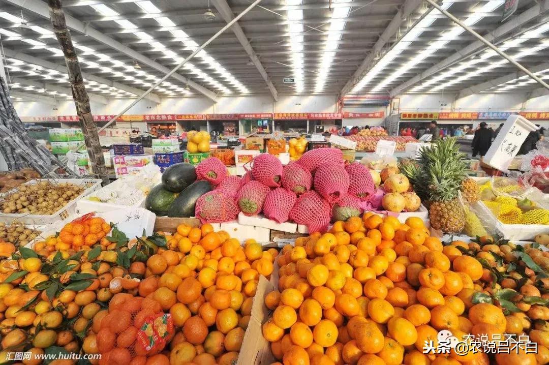 农批市场的现状与发展趋势,农批市场的梦想与理念