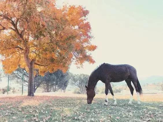 怎么克服赛前的紧张,如何克服赛前紧张干呕