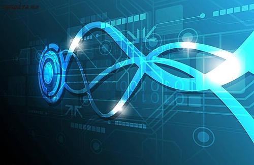 最新海关数据总结,海关业务统计数据意义