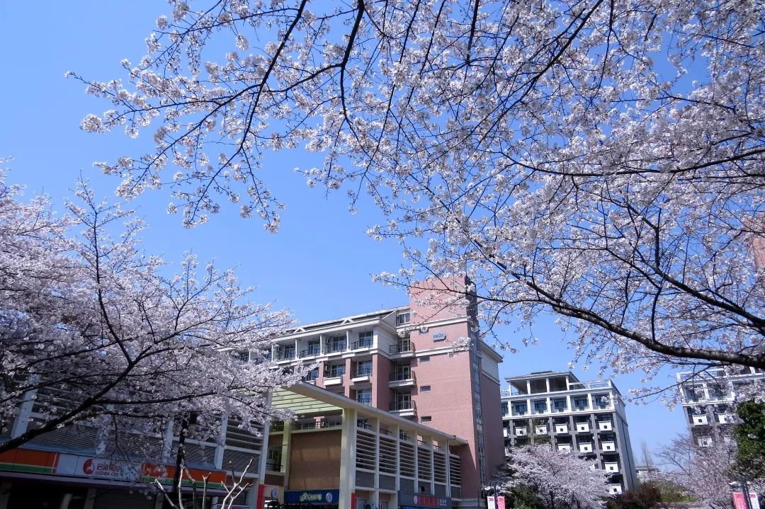 浙江大学：相约最美杭州选择最爱浙大开启最好未来