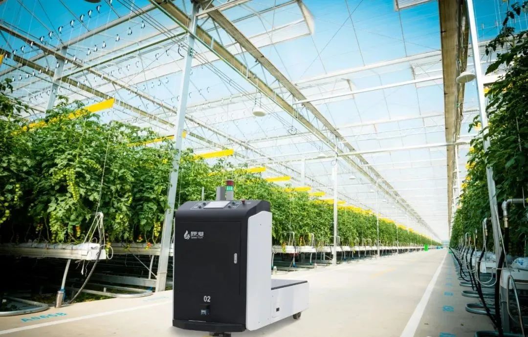 阳曲现代农业发展现状,山西阳曲现代农业产业示范区