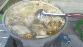 在*疆新**!你戴不了鸽子蛋,但喝得起鸽子汤!