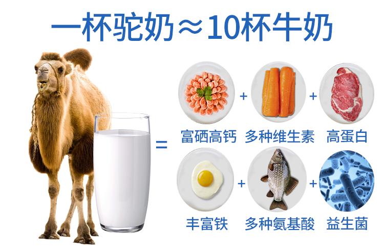 神奇的驼奶粉,神奇的驼奶央视报道